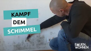 Kampf dem Schimmel - So werden Sie ihn los | BAUEN & WOHNEN