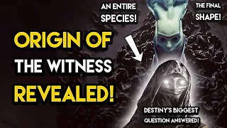 Destiny 2 - THE ORIGIN OF THE WITNESS REVEALED! What The Witness Actually Is!