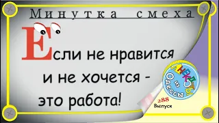Минутка смеха Отборные одесские анекдоты Выпуск 288