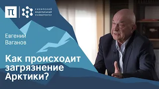 Экология Арктики — Евгений Ваганов / ПостНаука