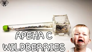 САМАЯ УЖАСНАЯ АРЕНА С WILDBERRIES, МУРАВЬИНАЯ АРЕНА #ФЕРМЫСWB  ТАПОК МИРА