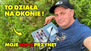 TE PRZYNĘTY na OKONIE MUSISZ MIEĆ !