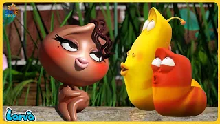 🔴 LARVA SEASON 3 FULL EPISODE: TAXI FAMILY | CARTOON COMPILATION | THE BEST OF FUNNY CARTOON