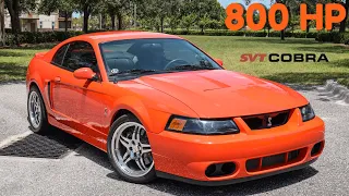 Epic 800hp SVT Terminator Cobra REVIEW!