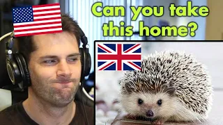 American Reacts to British Animals and Wildlife (Part 1)