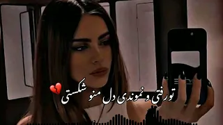 آهنگ جدید غمگین عاشقانه //تو رفتی و نموندی دل منو شکوندی 🖤