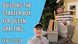 Building the Starter Box for Queen Grafting - Jacksonville FL Zone 9b