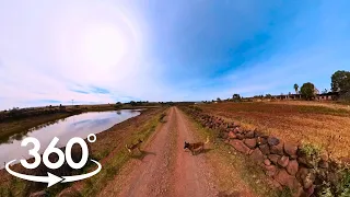 Las Amarillas 360 | Episodio #9