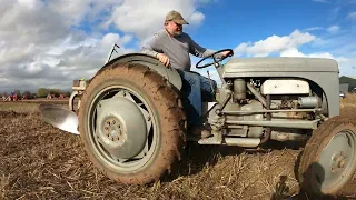 1950 Ferguson TED20 2.1 Litre 4-Cyl Petrol / TVO Tractor (26 HP) with Ferguson Plough