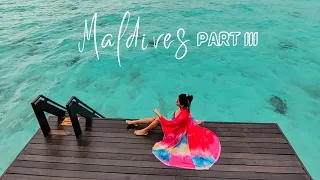 Maldives | Coco Bodu Hithi Resort | Part III with all the information