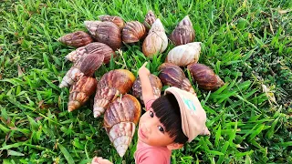 ADVENTURE! Finding Snail Snails And Weird Fruits [Snail Snails & Hermit crabs]