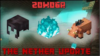 Minecraft 1.16 - Snapshot 20w06a - The Nether Update!