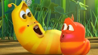 LARVA - LARVA BABIES | 2018 Cartoon | Cartoons For Children | WildBrain Cartoons