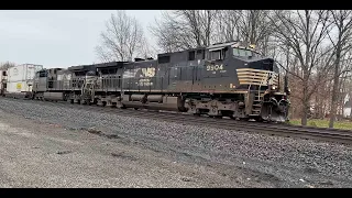 NS train 260.