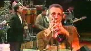 Herb Alpert - Tijuana Brass Medley.avi