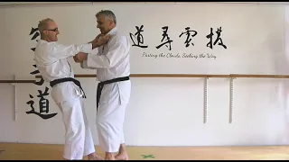 Gojushiho Dai Bunkai Strategies 2022 week 31 koryu karate oyo jutsu