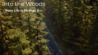 Into the Woods from Life is Strange 2 (Piano)