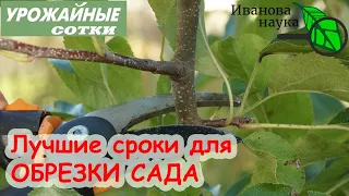 ДЛЯ УРОЖАЯ! Обрезка яблонь и других плодовых деревьев осенью. Когда лучше всего обрезать сад?