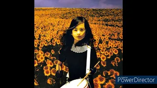 Mr.Children　　BOLERO　　　ミスチルファンの間で評判の高い名曲ぞろい。