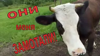 Что не говорите, а МУЖИК в деревне НУЖЕН!!! Управляюсь по хозяйству  ОДНА!