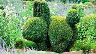 ТОПИАРНОЕ ИСКУССТВО В САДУ / ФАНТАСТИЧЕСКАЯ ПОДБОРКА / topiary art in the garden 🌳