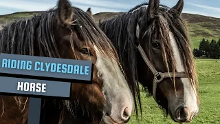 Riding the Clydesdale Horse in Scottish | Award-Winning Film #secretanimals