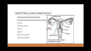 Brief Obstetrics Review for ALS Providers