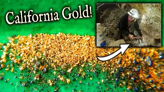 CALIFORNIA GOLD!  WOOHOO!