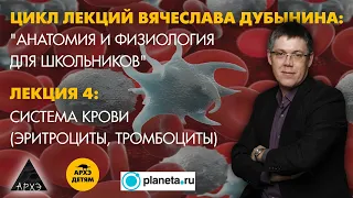 Вячеслав Дубынин: "Система крови" (Лекция 4)