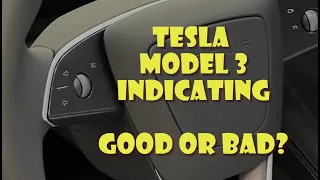 Buying a Tesla Model 3 Highland 2024? Indicators are now buttons, will you have issues? (UK content)