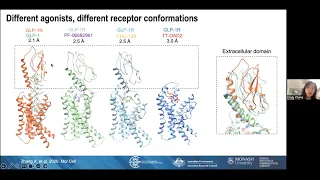 Structural insights into the activation and modulation of a class B1 GPCR by small molecule ligands