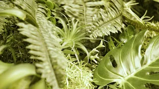 Монтаж зеленой стены из искусственных растений