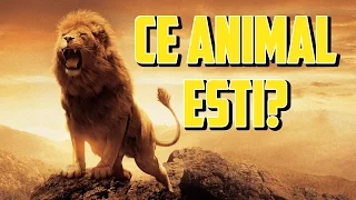 ✔Ce animal esti?(Test de personalitate)