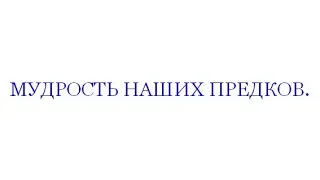 МУДРОСТЬ НАШИХ ПРЕДКОВ. (ВЕДЫ)КНИГА "КОЩУНЫ ФИНИСТА ЯСНО СОКОЛА". Трехлебов А.В 2019,2020