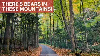 Driving The Roaring Fork Motor Nature Trail | Looking For Bears In The Great Smoky Mountains!