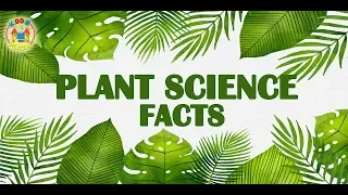 Plant Science Facts | Amazing Facts About Plants