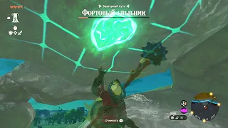 60 hours to realize you can do THIS in Zelda TotK..