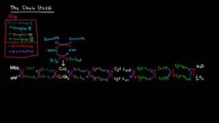 Electron Transport Chain (Part 2 of 3) - Complexes