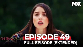 Cherry Season Episode 49 (Extended Version)