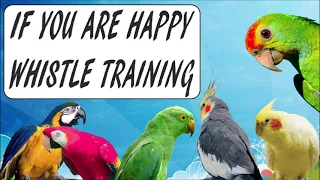 Parrot Whistle Training -  If You are Happy Whistle for Your Cockatiel and Parrot