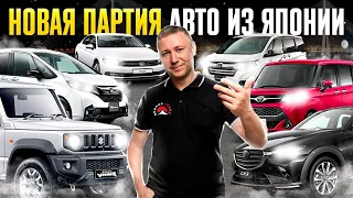 ЕСТЬ ЛИ ЖИЗНЬ ПОСЛЕ САНКЦИЙ И УТИЛЯ❓АВТО ИЗ ЯПОНИИ ОТ 800 ТЫС ДО 2,6 МЛН