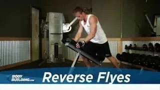 Reverse Flyes - Shoulder Exercise - Bodybuilding.com