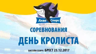 Соревнования "День Кролиста" 23.12.2017 Брест АкваСтарс