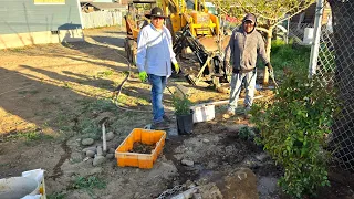 Seguimos trabajando aquí en la casa plantando Unas plantas y preparándolo para poner yarda