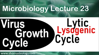 Lytic cycle and lysogenic cycle of bacteriophage | virology lecture 5