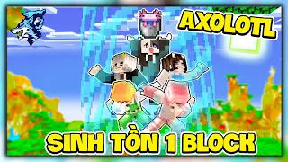 Minecraft Nhưng Sinh Tồn 1 Block Siro và Hero Team Phát Hiện Axolotl Trong Thế Giới Bị Giới Hạn