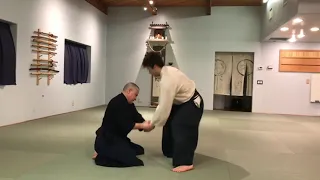 Aikido: Aiki Age into Shiho Nage
