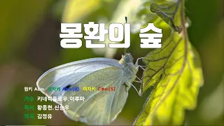 [은성 반주기] 몽환의숲 - 키네틱플로우.이루마