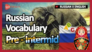 Learn Russian | Part 11: Russian Vocabulary Pre-intermid | Goleaen