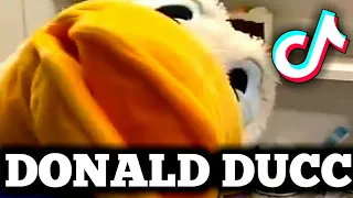 Donald Ducc tiktok compilation #3 | Best Donald Ducc tiktok | Donald Duck tiktok